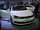 IMG_8010.JPG