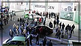 IMG_8019.JPG