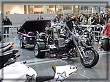 IMG_8074.JPG