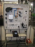 IMG_8115.JPG