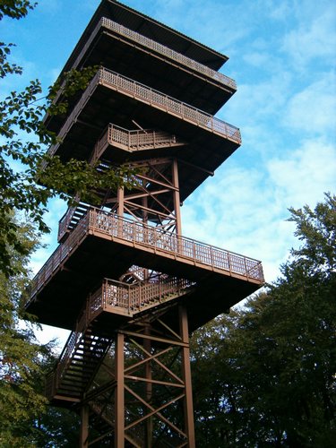 15.JPG