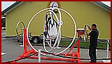 IMG_2639.JPG