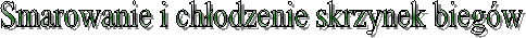 Sterowanie skrzynk� bieg�w