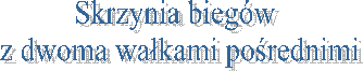 Skrzynia bieg�w 
z dwoma wa�kami po�rednimi
