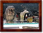 IMG_3894.JPG