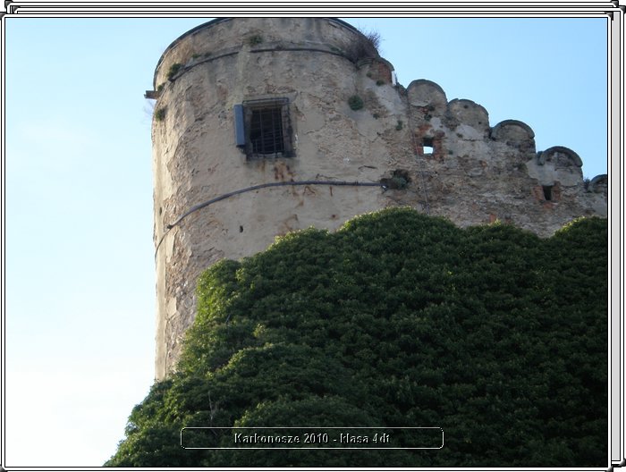 PA290149.JPG