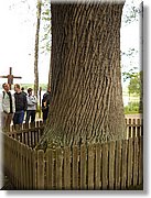 DSCN2743.JPG