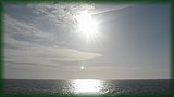 IMG_7426.JPG