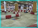 163.JPG