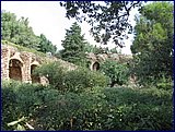 IMG_2599.JPG