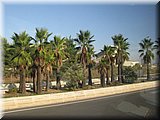 IMG_2002.JPG