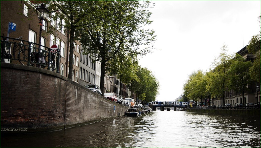 DSC_5959.jpg