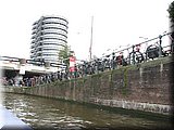 IMG_7985.JPG