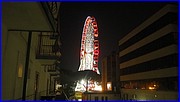 PK233697.JPG
